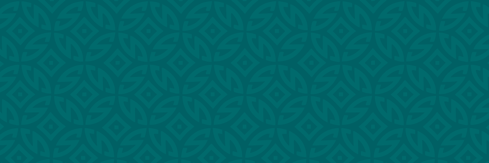 Sugar Strategist - Website Strips - green pattern.png