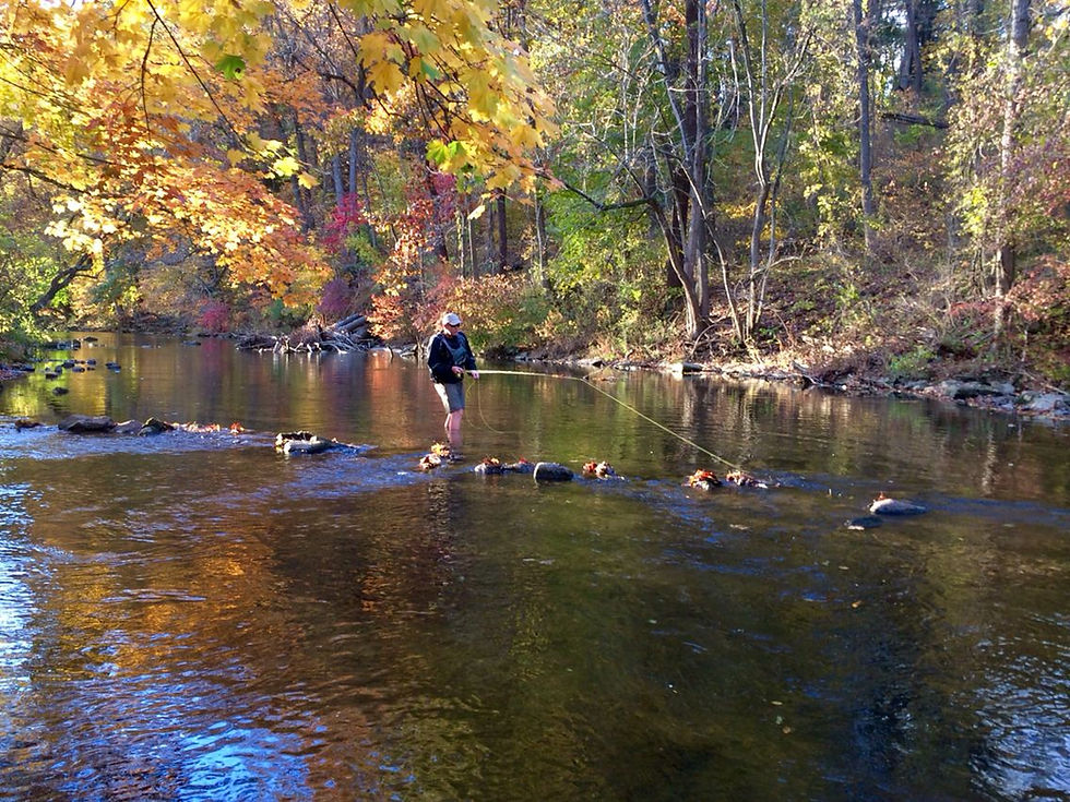 Fly Fishing on "The Little Lehigh" Allentown, PA
