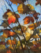 Sunlight and Leaves