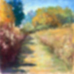 Mown Path