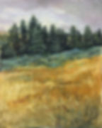 Pine Trees and Grasses