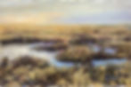 Grassland After the Rain