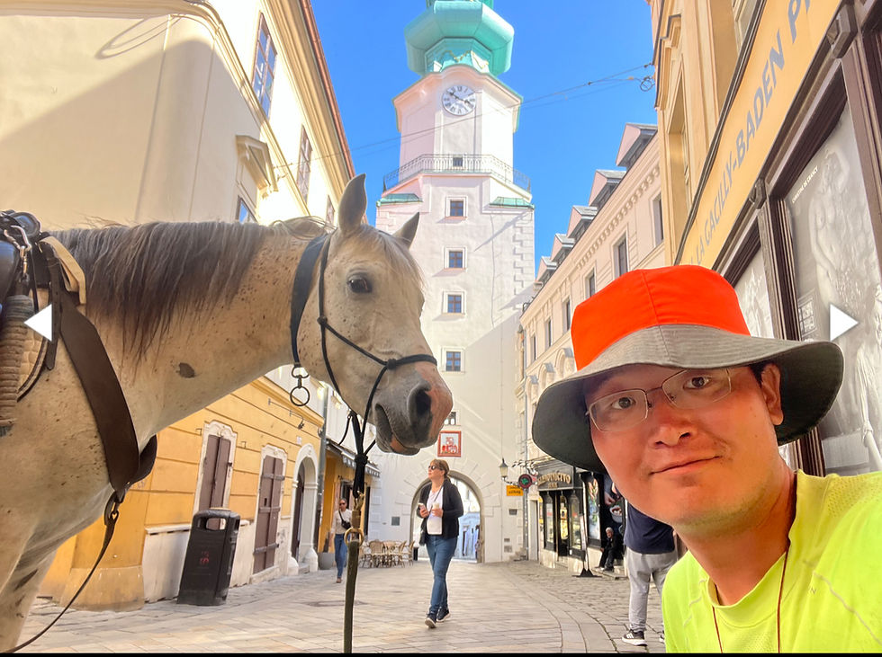 Las aventuras del peregrino chino y su corcel blanco