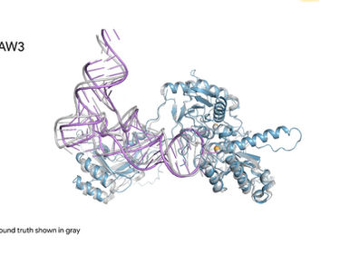 AlphaFold Server: Una herramienta de investigación gratuita y fácil de usar
