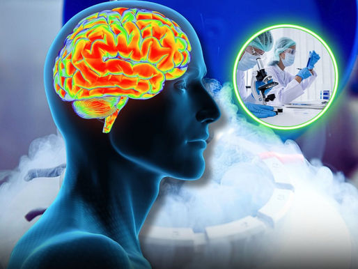 CIENTÍFICOS CHINOS
LOGRARON REVIVIR TEJIDOS CEREBRALES HUMANOS TRAS
18 MESES DE CONGELACION