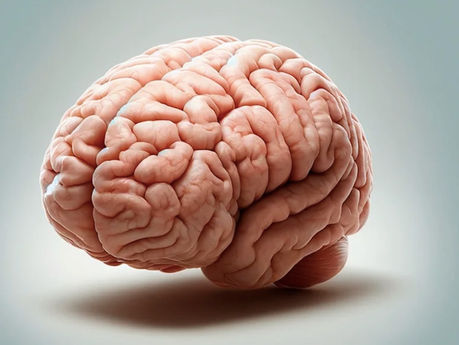 La tecnología que quiere que nuestro cerebro sea eterno ya existe, pero no es tan sencillo como parece