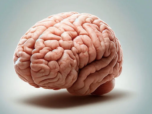 La tecnología que quiere que nuestro cerebro sea eterno ya existe, pero no es tan sencillo como parece