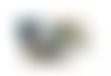 Más novedades de ZTE