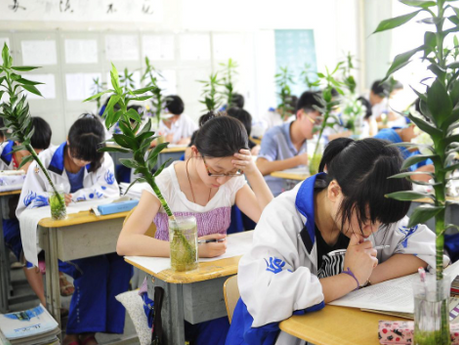 La China Global Strategy de la UPF-BSM nace para atraer y conectar talentos con la China