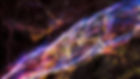 5037939.jpg