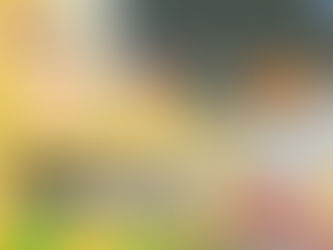 2019/5/6 奴亦准Octet@尼崎tora