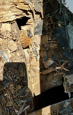 roof repair