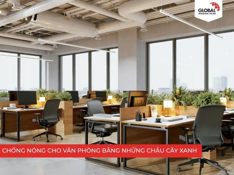 Trồng cây xanh giữ không gian văn phòng mát mẻ