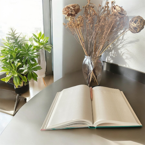 Thumbnail: Radiate Positivity: A Daily Affirmations Journal