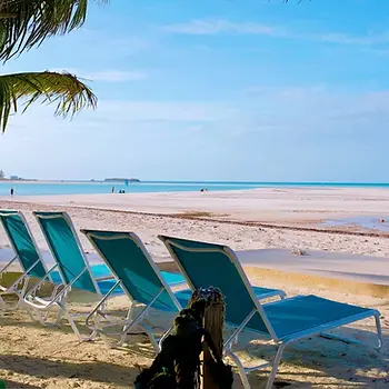 Spanish Wells Rentals 