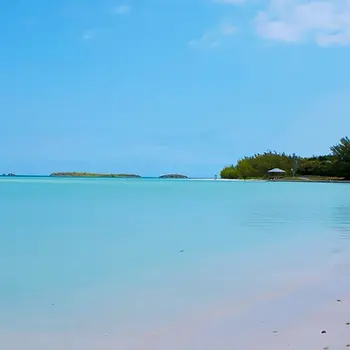 Spanish Wells Rentals 