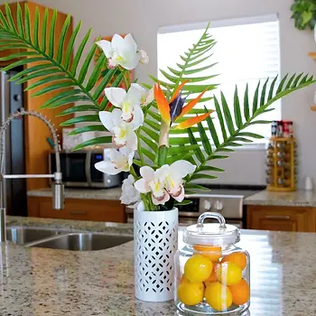 Spanish Wells Rentals 