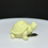Thumbnail: Glowing Turtle Woo