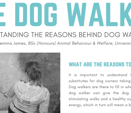 The Dog Walker