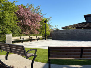 a memorial garden with benches and greenery and a tree full of pink blossom taken on a brigh spring morning wit electric blue sky.