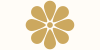 16-petal-daisy-CCA85F.gif