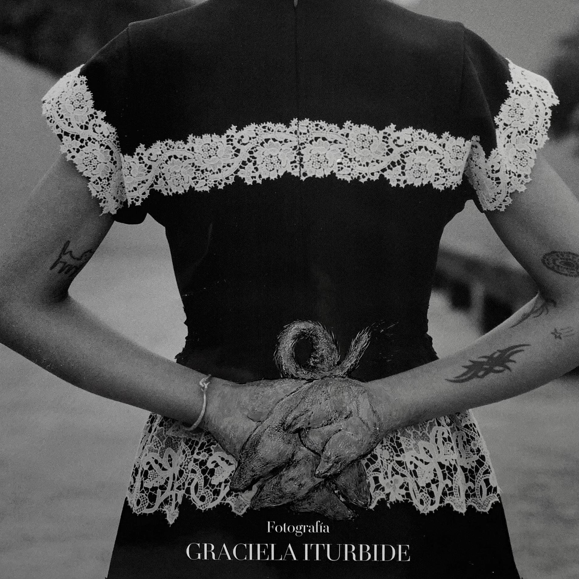 No. XV - CER-VOGUE _ CARAS DE TROMPA