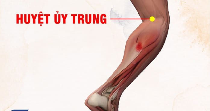 Huyệt Ủy Trung