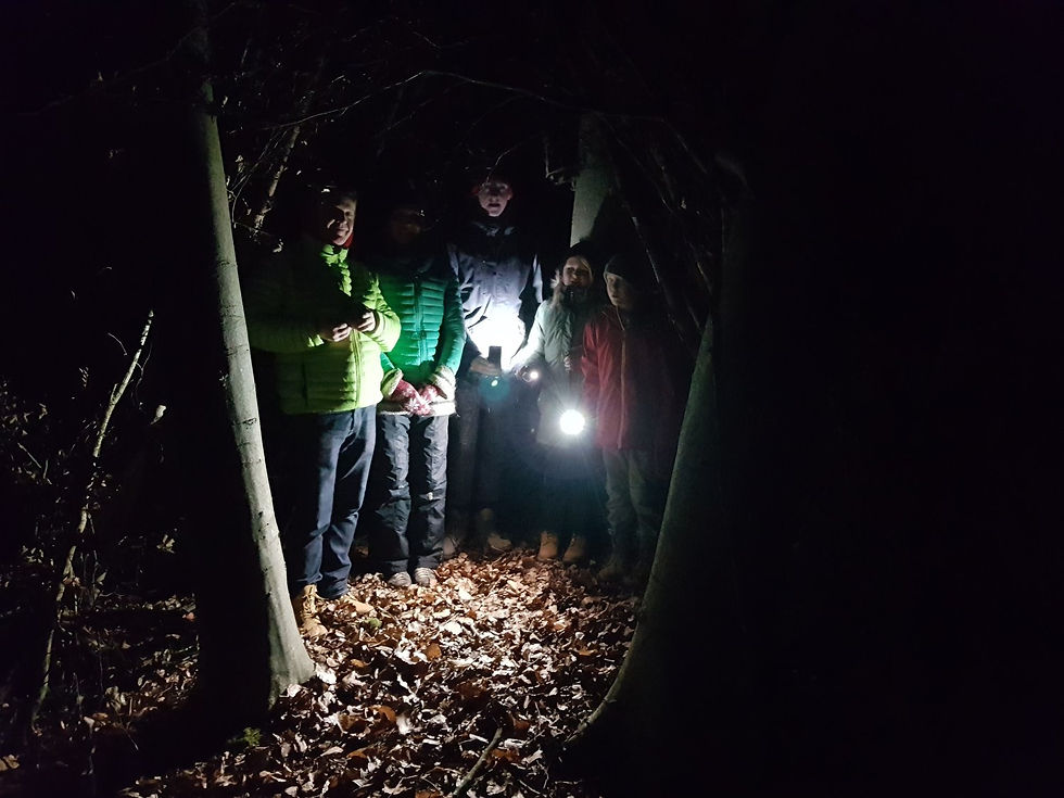 dark night storytelling