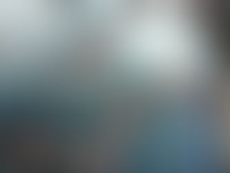 Restless Orange in the Calm Blue: A Koi Fish Study