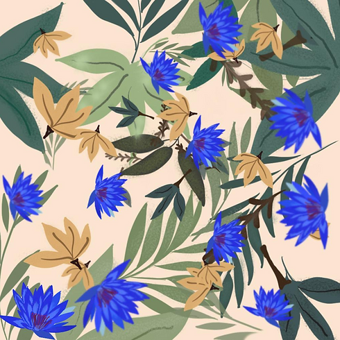 website art portfolio.png