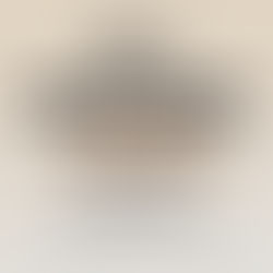 2026 Newcomer Webcam Wettbewerb 📢