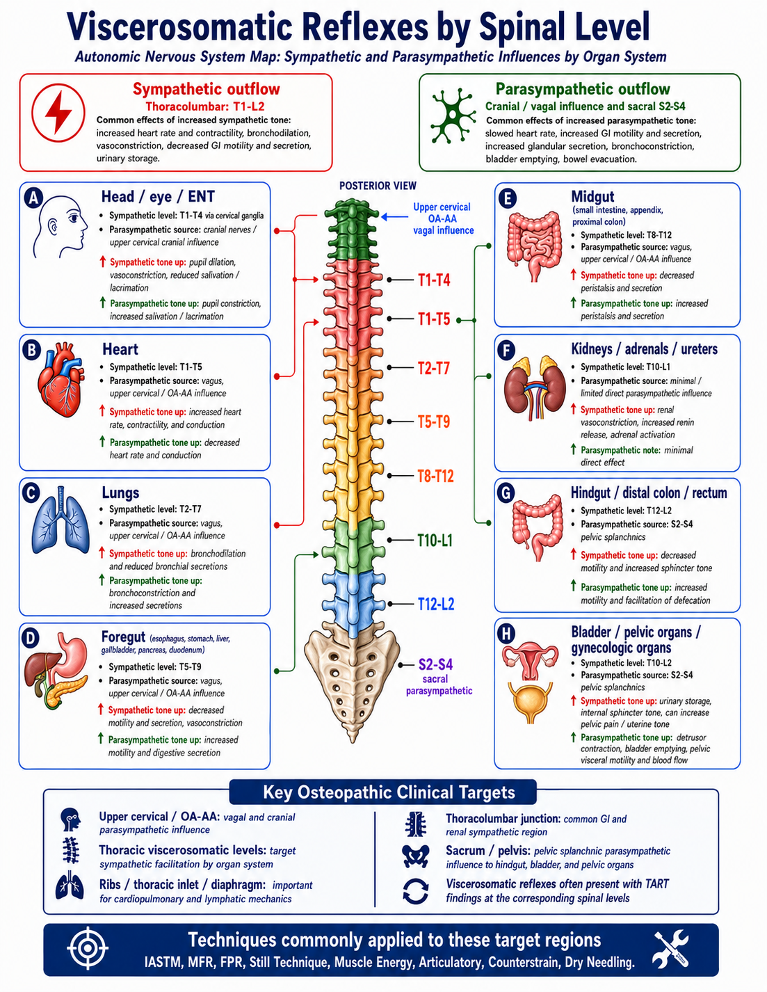 Original cover: Viscerosomatic Reflexes by Spinal Level & Neurologic Model of Osteopathic Medicine