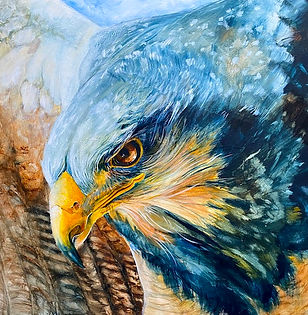 latest eagle smaller.jpeg
