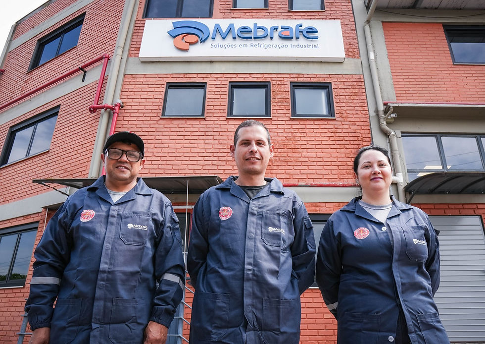 MEBRAFE-MF201383-V2 (Grande)