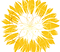 April Roane Sacred Order of The Sunflower