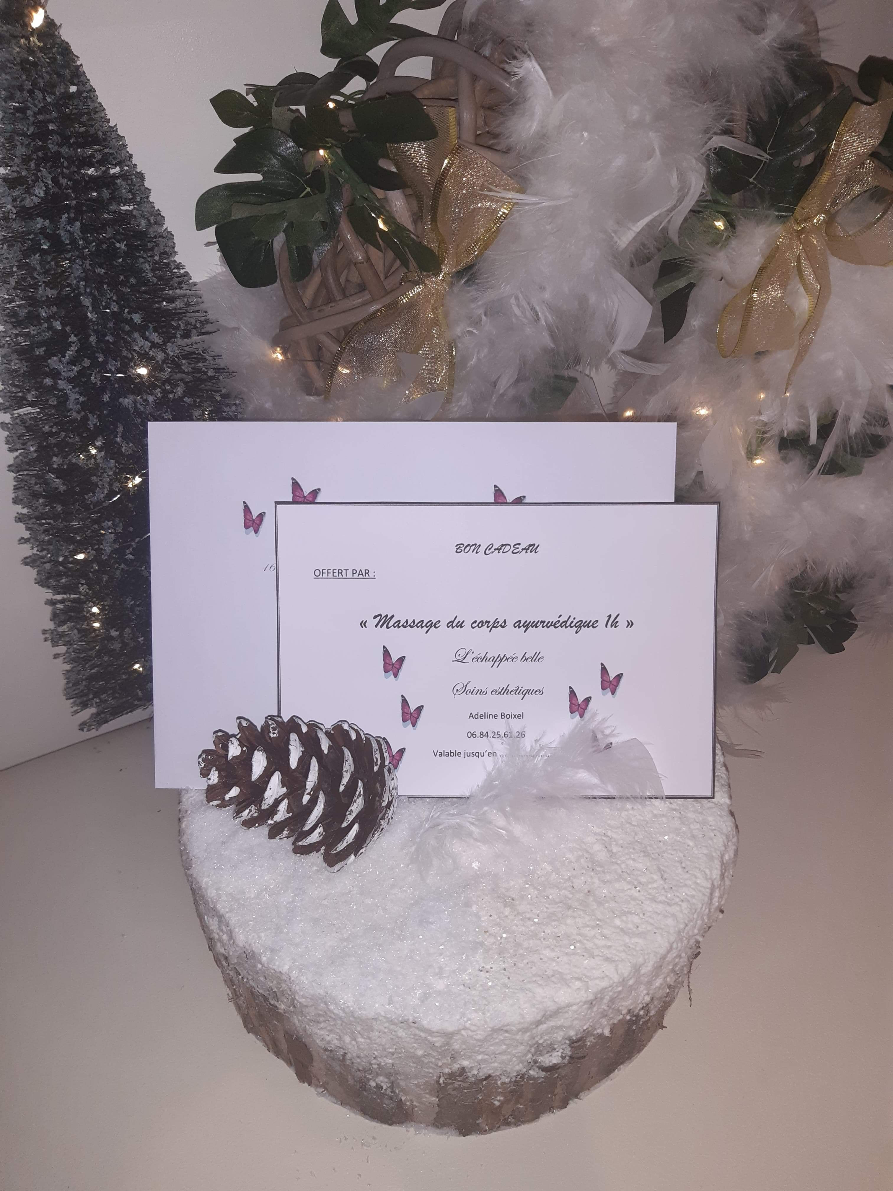 Modelage corps ayurvédique (ref: EB41)