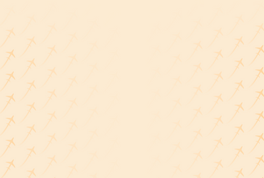 1.2_Private Aviation_Pattern Banner.png