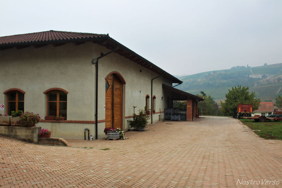Cascina Pontepietra - Drocco Luigi - Cantina em Alba