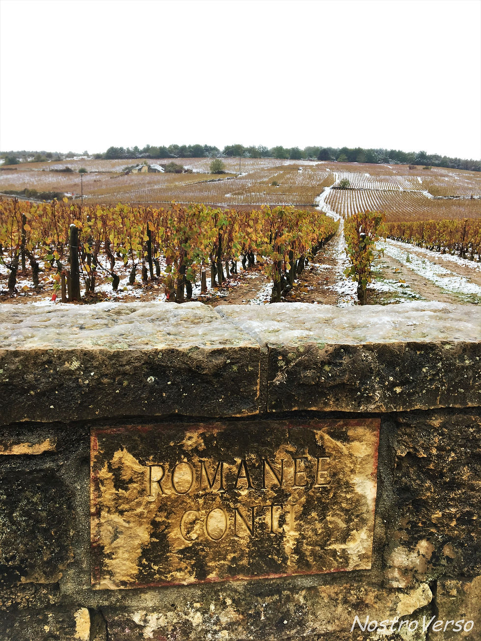 Vinhedo Romaneé-Conti na Borgonha