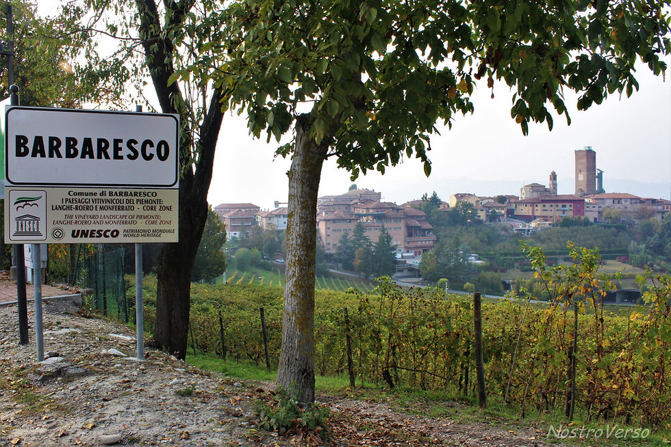 Comuna de Barbaresco - Piemonte - Itália
