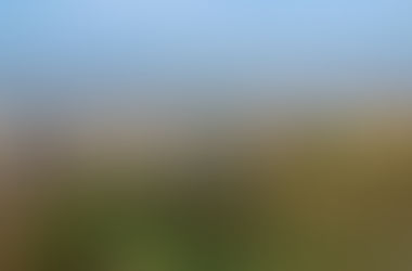 O enoturismo no Piemonte