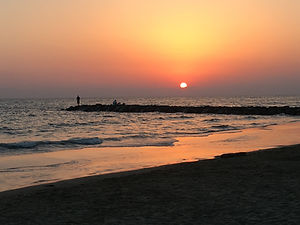 IMG_0655.JPG