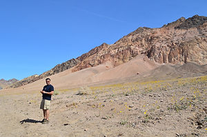 DSC_1598.JPG