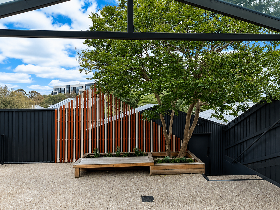 Camberwll - Backyard- Garden - Design.png