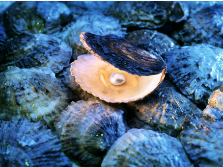 Turning Life’s Challenges into Pearls