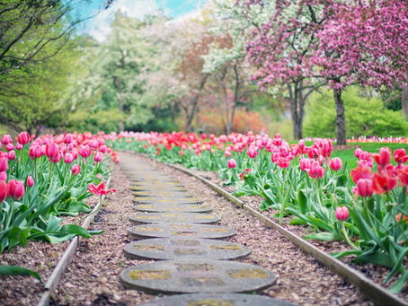 How to Start a Daily Devotion:  Step By Step
