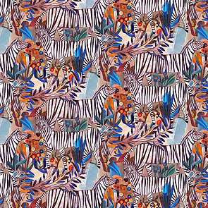 African Zebra