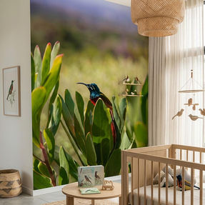 Sunbird
