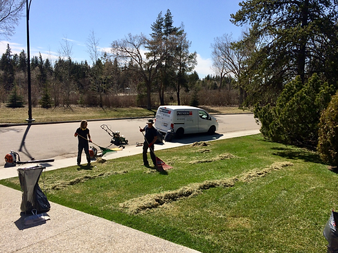 Spring cleanup 12x9.png