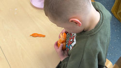 IMG-20260326-WA0003